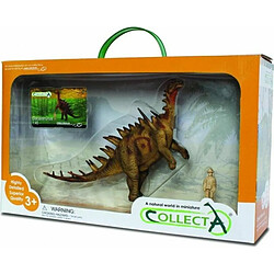 CollectA Dacentrurus In Window Box Toy by CollectA