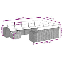 Acheter vidaXL Salon de jardin 11 pcs avec coussins noir résine tressée