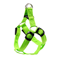 Wewoo Laisse pour chien en nylon de sangle de coffre de de chat de harnais de lumière de double face de LEDtaille L vert