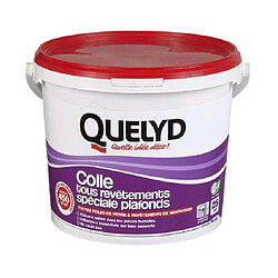 Quelyd - Colle Tous Revêtements Spéciale Plafonds 6K - 30601421 