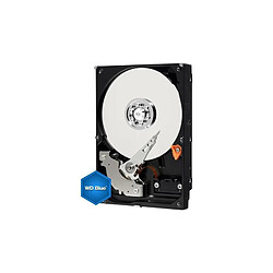 HDD 250Go 3.5" WESTERN DIGITAL - Reconditionné