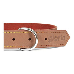 Acheter Collier pour Chien Gloria Oasis Marron (40 x 1,5 cm)