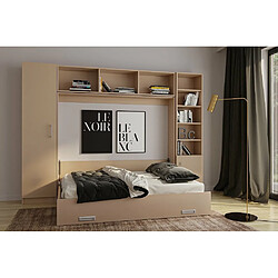 Inside 75 Composition lit escamotable VERTIGO taupe mat largeur 311 cm couchage 160*200 cm