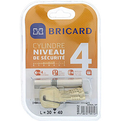 Cylindre de porte Bricard Serial XP 18002 30+40mm double entrée haute sécurité