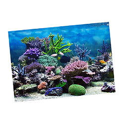 fond d'aquarium, affiche adhésive aquarium décor de mur de réservoir de poissons corail xl pas cher