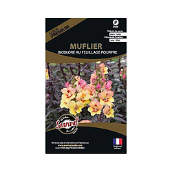 Sanrival Graines de fleurs premium muflier bicolore feuillage pourpre