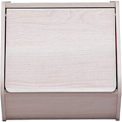 Iris Ohyama, Niche de rangement avec porte pliante en bois - Boîte de rangement empilable modulaire en bois STB-400D - Chêne clair, L40 x P38,8 x H30,5 cm 531485