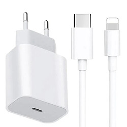 Universal Chargeur iPhone Apple 11/12/13 Adaptateur d'alimentation USB-C 20W + 1M Cable Eu Plug