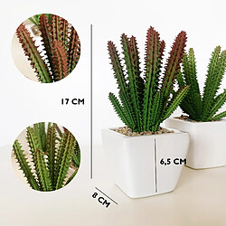 Wellhome Lot de 6 Cactus cardon Assortis artificiels et Pot en céramique 12 x 8 x 8 cm