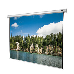 Ecran de projection celexon Economy Motorisé 240 x 240 cm