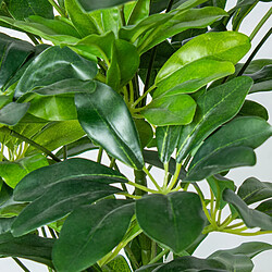 Plante décorative Alexandra House Living Plastique Schefflera 90 cm pas cher