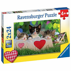 Acheter Ludendo 2 puzzles de 24 pièces Chatons au repos