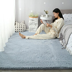 LUUCOZK Tapis Moelleux en Fausse Fourrure Tapis Shaggy pour Chambre à Coucher Salon-Bleu Gris-160x200cm 