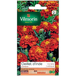 Vilmorin Sachet graines Oeillet d'inde Carmen