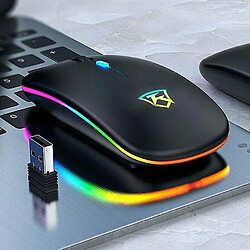 Universal Souris sans fil sans fil à 2,4 GHz souris sans fil souris optique pour ordinateur portable PC 