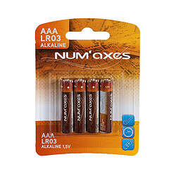 Pile rechargeable Num'Axes