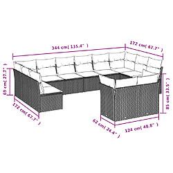 Avis vidaXL Salon de jardin avec coussins 12 pcs marron résine tressée