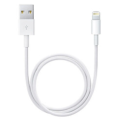 Apple Chargeur secteur A1400 + Câble Compatible iPod iPad Iphone MD818 original Blanc