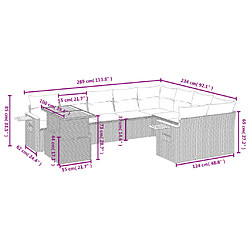 Avis vidaXL Salon de jardin avec coussins 10 pcs gris résine tressée