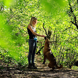 dibea Sac à friandise Chien en Silicone Sac de Dressage Chien Sac Alimentaire Chiens Bleu