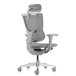 Acheter Chaise de bureau / fauteuil de direction ERGOHUMAN SLIM ULTRA G GEN2 tissu résille gris hjh OFFICE