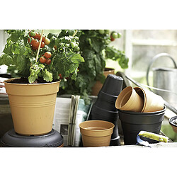 BESTA Plantes en plastique avec plat - Petits pots en plastique avec trous de drainage, pots de fleurs avec plateaux, pots en plastique pour plantes d'intérieur et d'extérieur pas cher