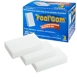 Lot de 3 éponges magiques pour ligne d'eau - pool gom x3 - TOUCAN