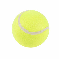 Paris Prix Jouet pour Chien Balle de Tennis 15cm Jaune