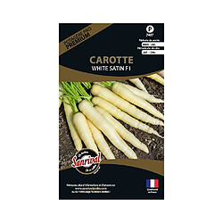 Sanrival Graines potagères premium carotte White satin 