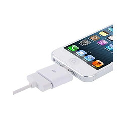 Yonis Adaptateur iPhone Dock vers Lightning Adaptateur Apple Entrée Lightning Iphone 5 Ipad Sortie Port Dock Access Pratique YONIS