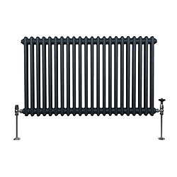 Monstershop Radiateur Traditionnel à Double Colonne – 600 x 1012 mm – Gris Anthracite