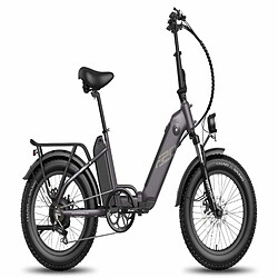 FAFREES FF20 Polar Vélo Électrique - 500W Autonomie 110KM Freins à Disque - Noir 