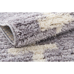 Hadorn Tapis shaggy 245x160 gris Frauenfeld Rood pas cher