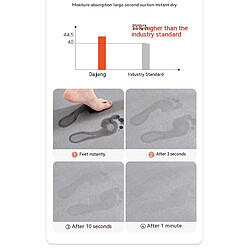 Acheter LUUCOZK Tapis de bain antidérapants, absorbants, à séchage rapide, décoration de salle de bain, gris-39x60cm