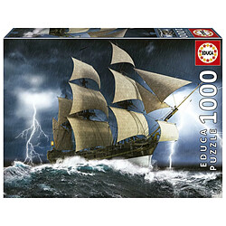 Educa Borras Puzzle 1000 pcs - Tempete parfaite 