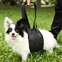 Equipement de transport pour chien