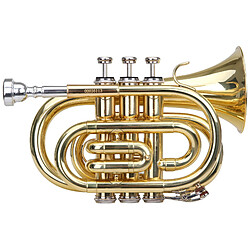 Classic Cantabile Brass TT-400 B-trompette de poche en laiton