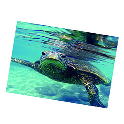 Acheter aquarium autocollant simple face arrière-plan autocollant tortue 61x30cm