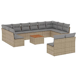 vidaXL Salon de jardin et coussins 13 pcs mélange beige résine tressée