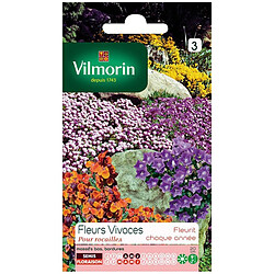 Vilmorin Sachet graines Fleurs vivaces pour rocailles