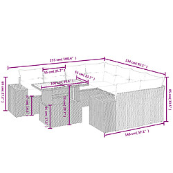 Avis vidaXL Salon de jardin avec coussins 9 pcs beige résine tressée