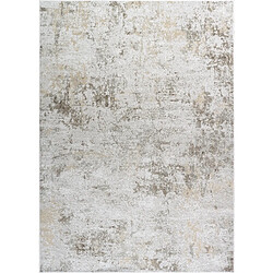 Thedecofactory VERDIO USED - Tapis moderne effet usé en relief gris clair 200x290 