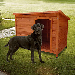 Niche pour Chien Grand en Bois Gardiun Lupy 76x116x82 cm avec Toit à 1 Pente et Toiture en Asphalte