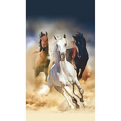 AG ART Poster Thème Horses - 90 x 202 cm