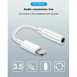 Adaptateur Riff Lightning vers prise casque audio 3,5 mm (analogique A1749 / MMX62ZM/A) 