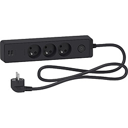 Schneider Electric Bloc multiprises 3 Prises 2P+T et 2 USB (câble 1,5m) Anthracite - Schneider