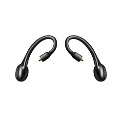 SHURE RMCE-TW2 Ecouteur Sans Fil Bluetooth Supra-Auriculaire Résistant à l'Eau Noir 