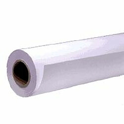 Papier pour imprimante Epson Rollo de Singleweight Matte Paper, 17" x 40 m, 120 g Blanc (1 Unité) 