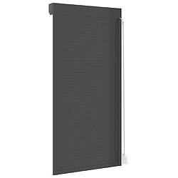 Acheter vidaXL Volet roulant aluminium 100x210 cm anthracite