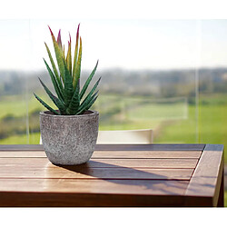 Acheter BESTA Ensemble de 3 Petites Plantes Artificielles Décoration Extérieur Intérieur Succulentes Succulentes En Pot pour Bureau, Balcon, Salon, Maison